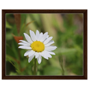 048b2185-6bb8-40d8-b946-847a10e432df