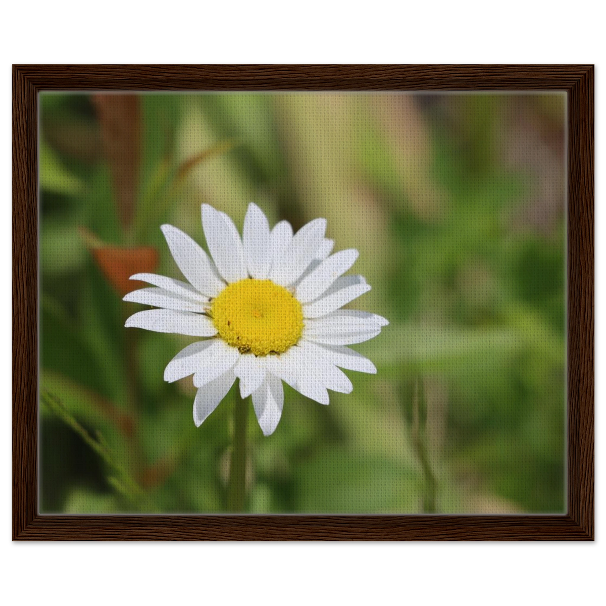 048b2185-6bb8-40d8-b946-847a10e432df