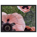 059f0b33-7cc2-4d1d-8e16-2ff6b7b0d8fb