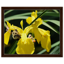 06242a4b-20d1-45ef-aca6-9db3199da43f