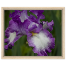 0b799ba4-f16b-4a42-80bb-de8edb267927