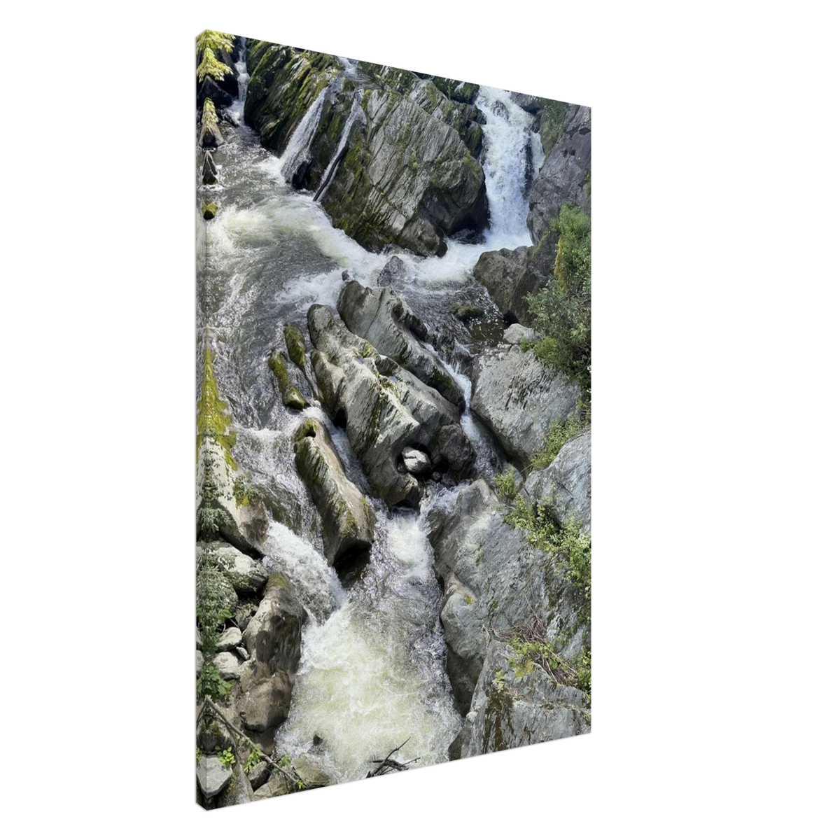 Angled side view of mountain stream art canvas