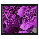 15caf0c6-b8d1-4d47-9642-25928b29ae18