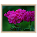 179cca48-9db7-457e-b2f9-64f6bc2a2492