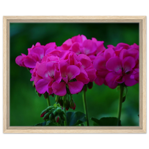 179cca48-9db7-457e-b2f9-64f6bc2a2492