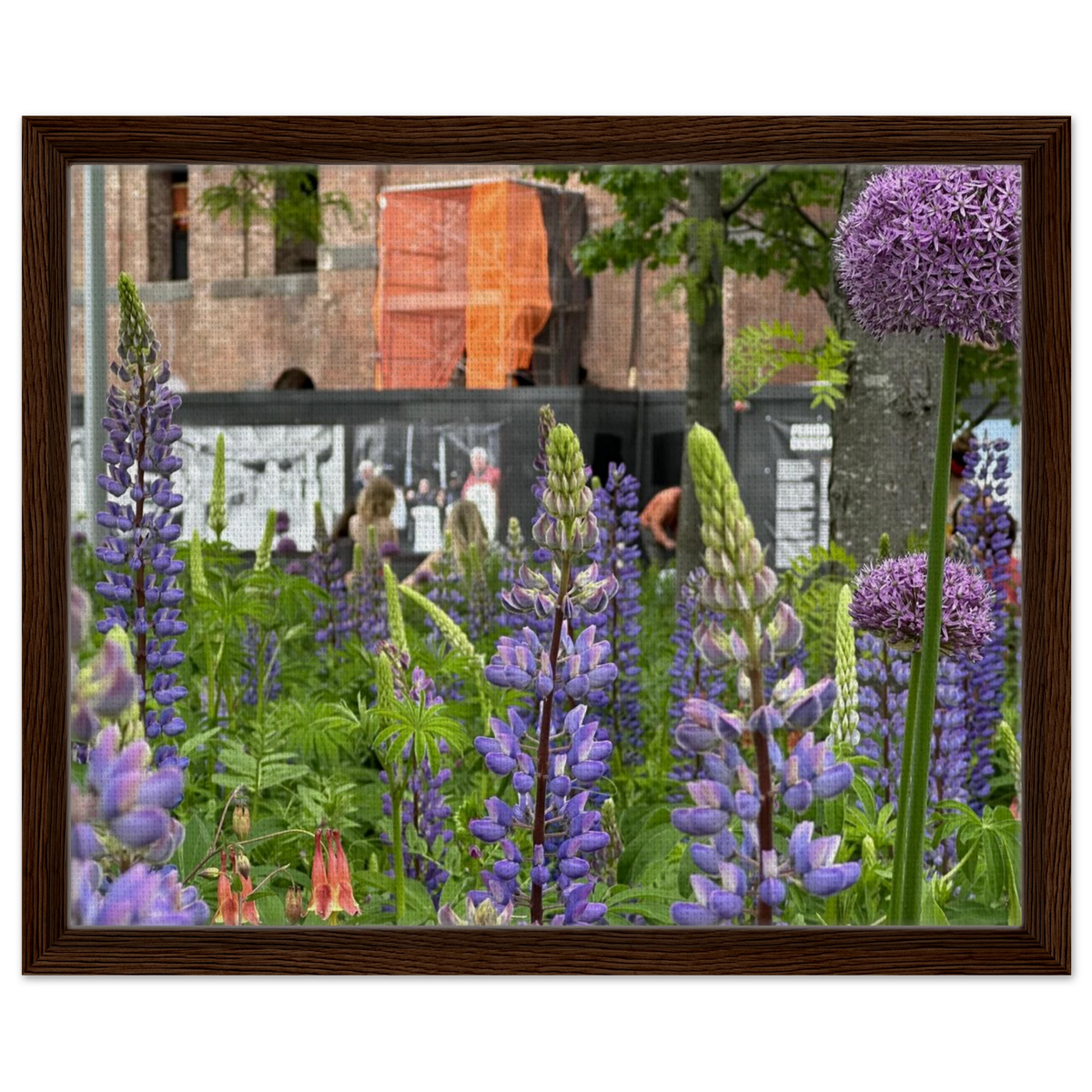 Purple Lupine Allium Botanical Framed Artwork
