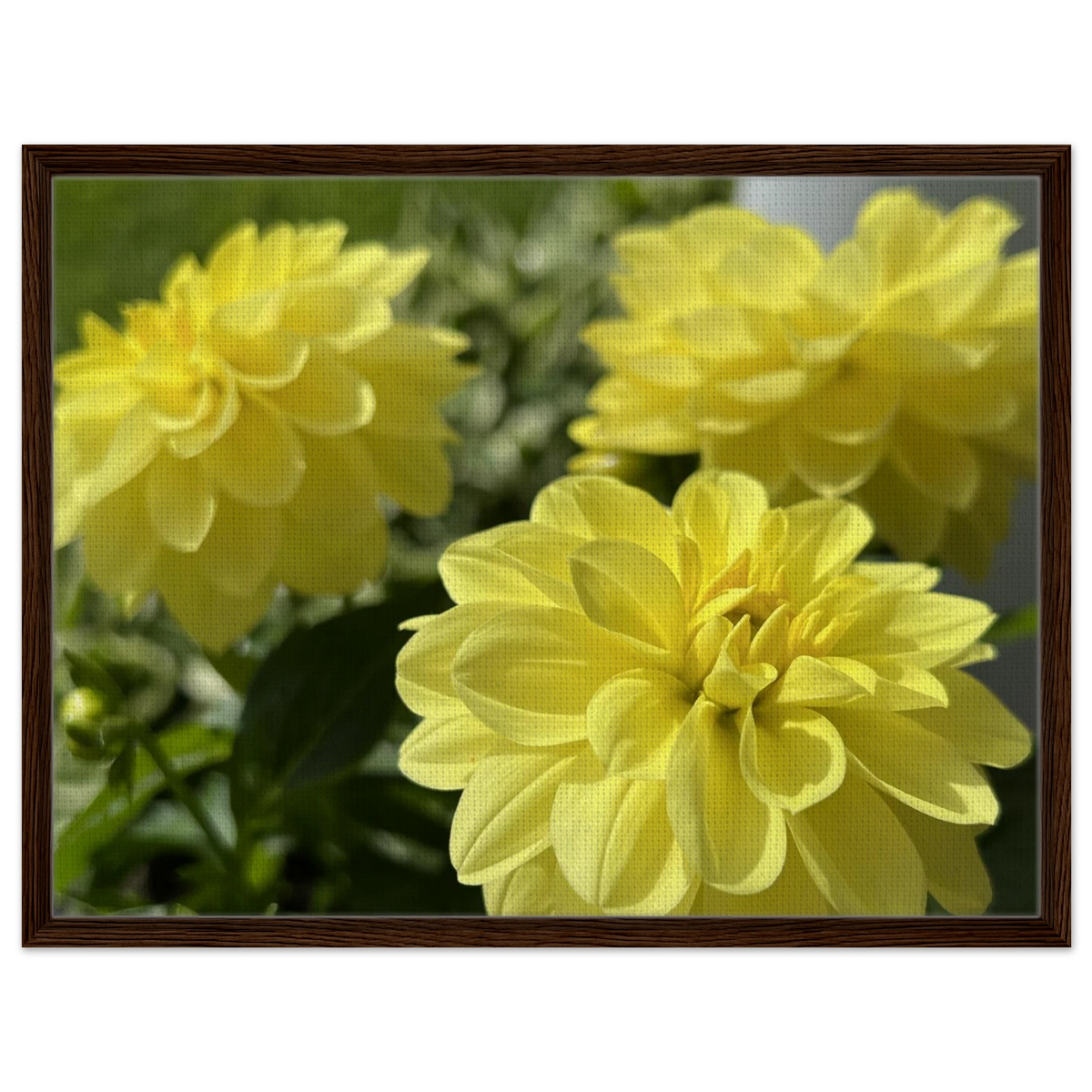 1a8c72ec-2eba-437a-8911-5d4130fb6815