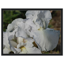 1c232fa0-2a1b-4900-bd9e-0089eb29a61c