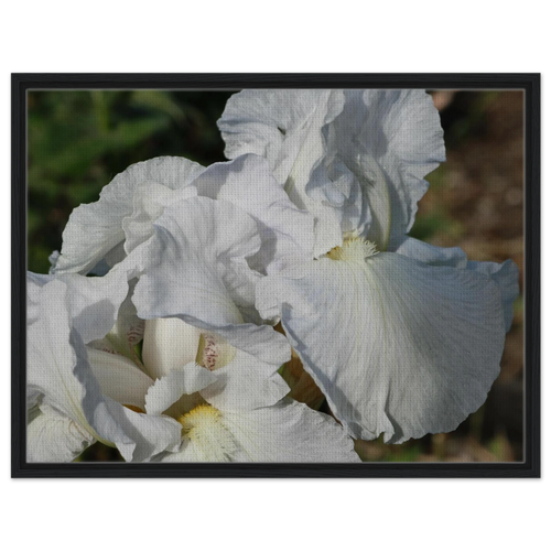 1c232fa0-2a1b-4900-bd9e-0089eb29a61c