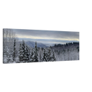 1d78e80d-fdf4-4b4c-81b3-0c21f074fd29