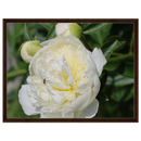 1d95f1e8-bc16-4a4a-a4fd-13d0fd96484a