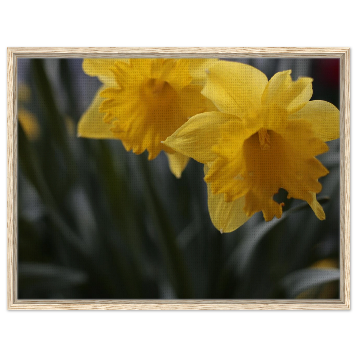 1dc55353-80fb-477b-8681-024c4b3587e5