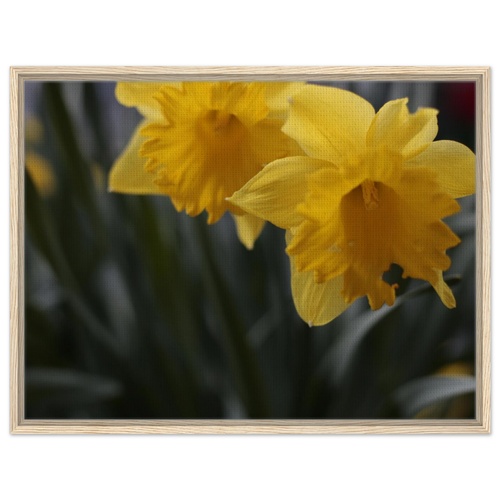 1dc55353-80fb-477b-8681-024c4b3587e5