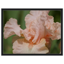 1ef91e82-25f0-4c81-bae5-321053933760