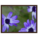 1f06f509-6e1c-41b3-9f91-7f6652baa0f3