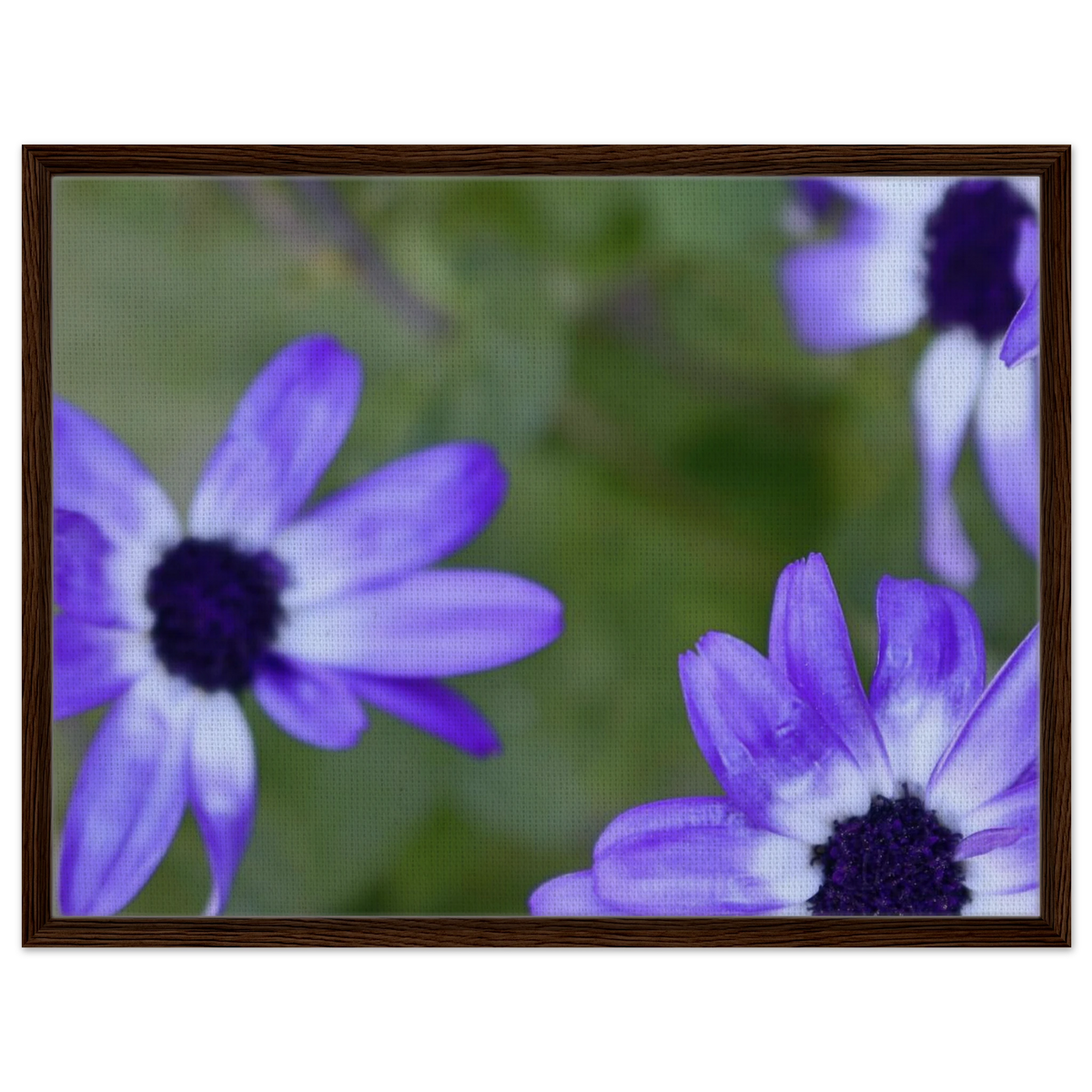1f06f509-6e1c-41b3-9f91-7f6652baa0f3
