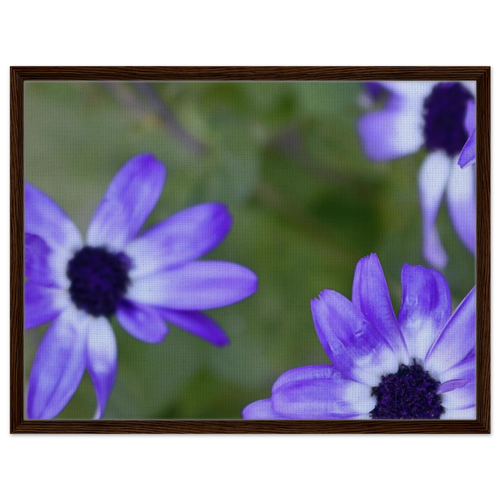 1f06f509-6e1c-41b3-9f91-7f6652baa0f3