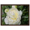 1fdc0f0e-3dcf-418d-91ce-859a5ea2275a