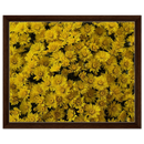 21990b11-ff98-452d-84e3-efc3e9b7c780
