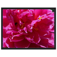 Black frame