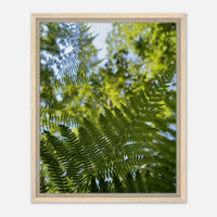 Lush Green Ferns Framed Canvas: Nature's Embrace for Your Walls, 3 Sizes & Wood Finishes