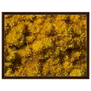 27dc0152-09c0-47d3-a7ea-f2f9d0f70cb4