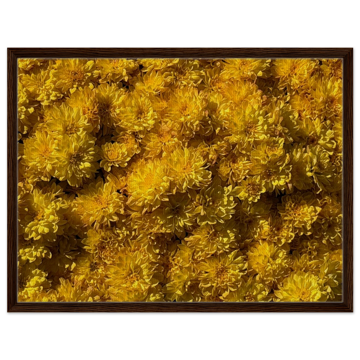 27dc0152-09c0-47d3-a7ea-f2f9d0f70cb4