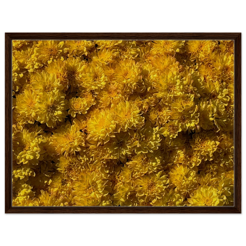 27dc0152-09c0-47d3-a7ea-f2f9d0f70cb4