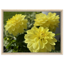 2804fb5b-43df-4a34-bdfd-6ec399ea2cc0