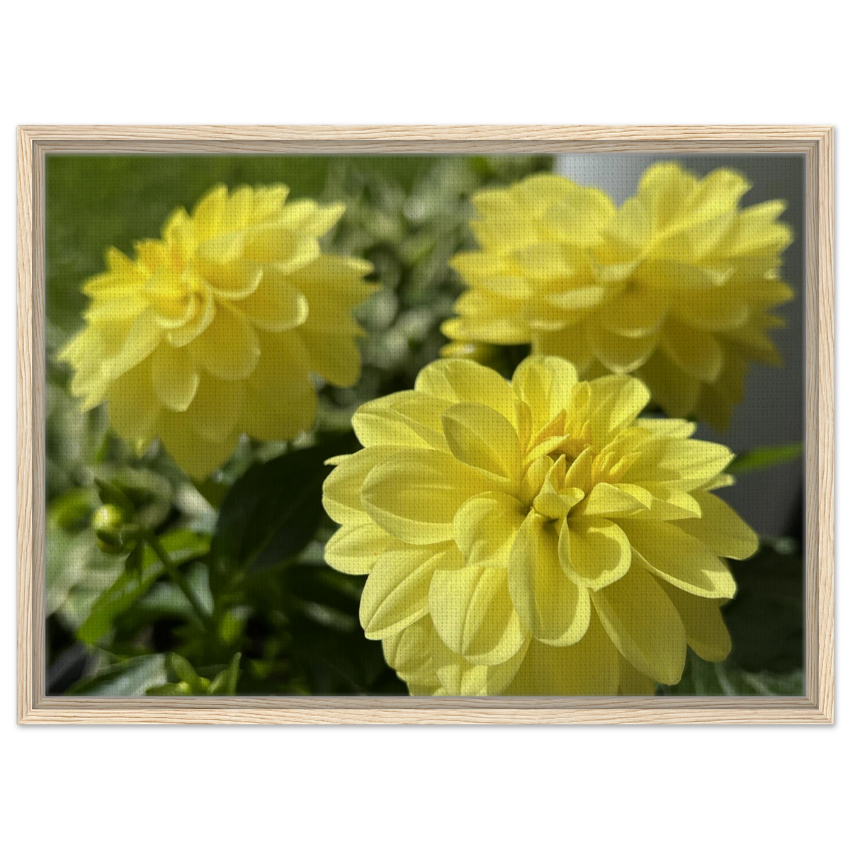 2804fb5b-43df-4a34-bdfd-6ec399ea2cc0