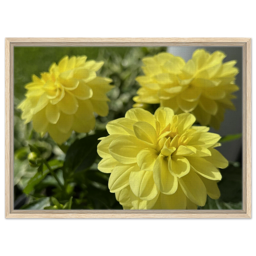 2804fb5b-43df-4a34-bdfd-6ec399ea2cc0
