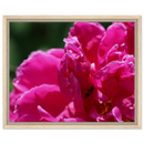 283802d0-3be8-417d-8527-f031cb2ecf74