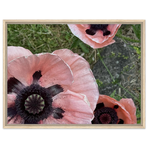 2b158979-5b0c-40bd-8e68-d7a0c64da0f8