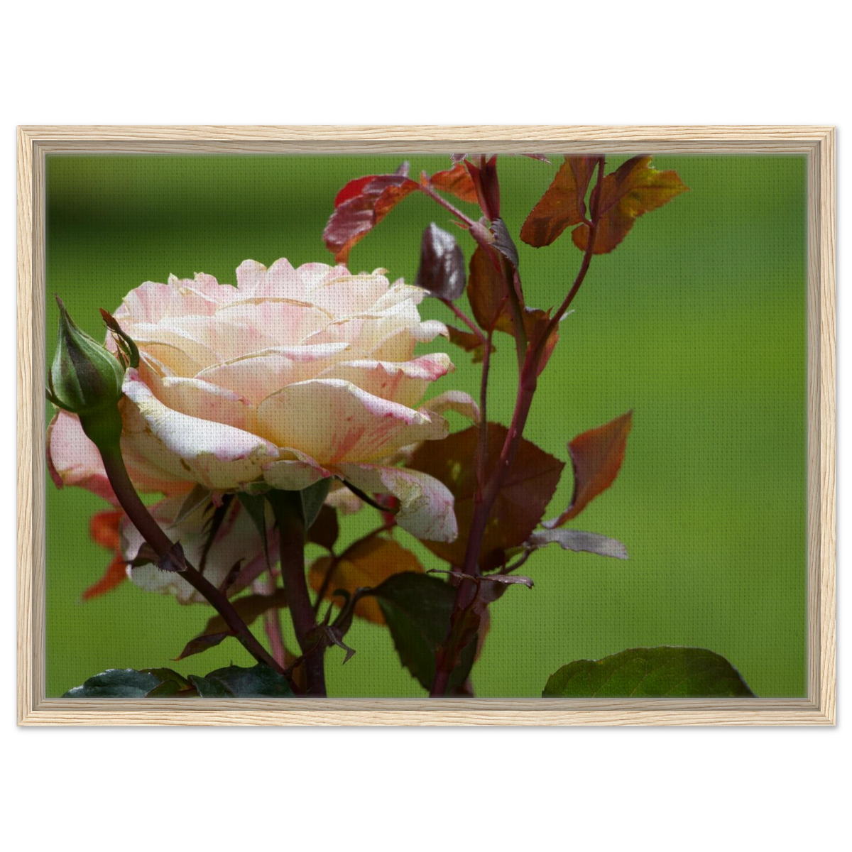 30227646-c5cf-4f5b-be4d-2df24d58e3d0