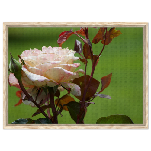 30227646-c5cf-4f5b-be4d-2df24d58e3d0