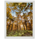 Vertical framed print of golden-leafed forest with green foliage, white frame