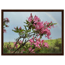 Framed canvas print of pink azalea blossoms and rainbow in medium wood frame
