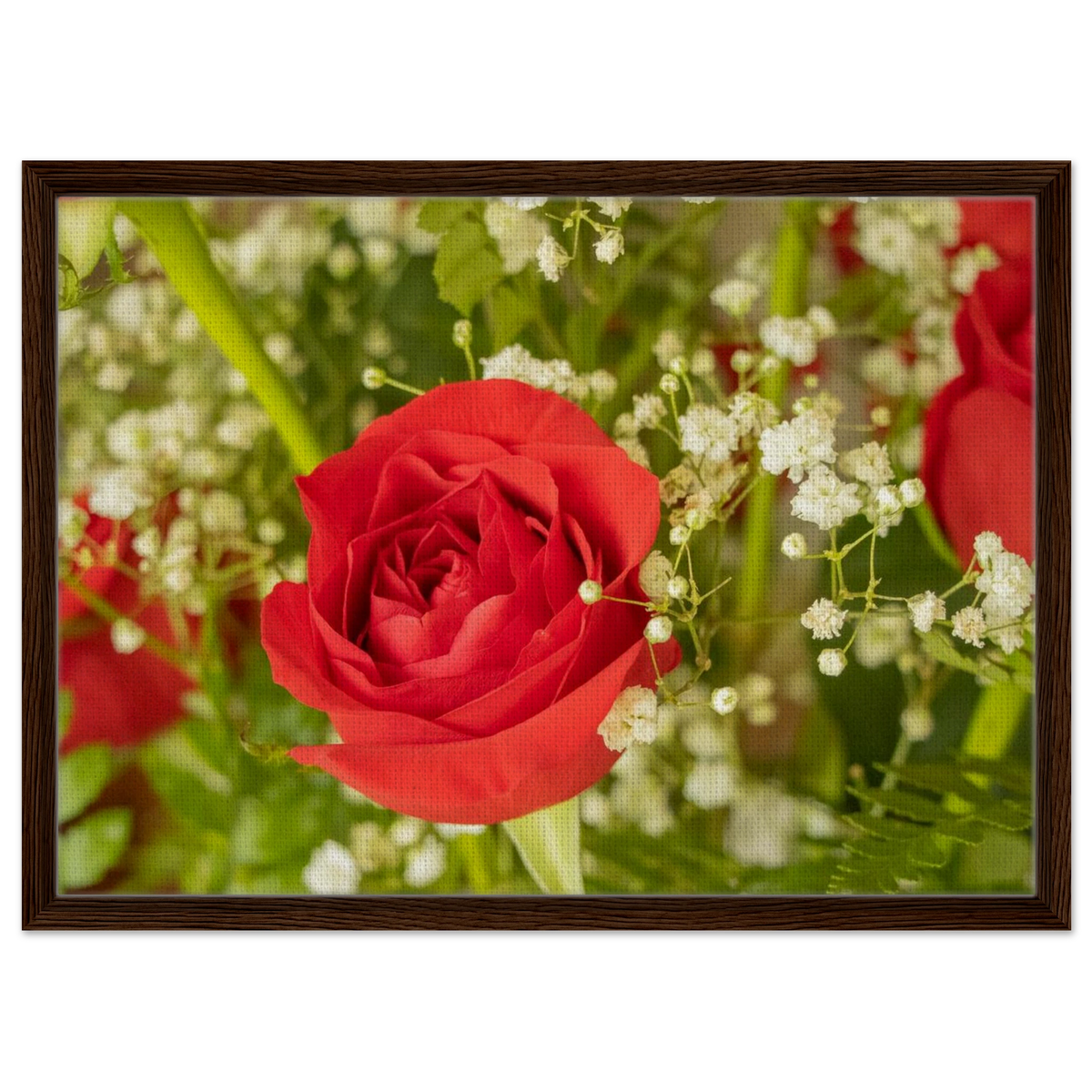 Framed canvas print of a red rose among green leaves and baby's breath, dark brown wood frame, wider aspect