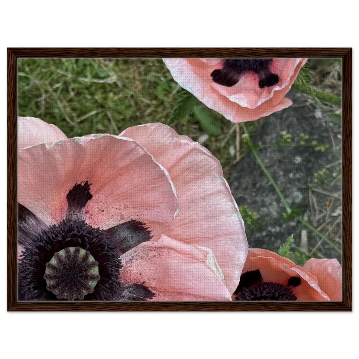 39807b06-61f1-4a4e-a2b1-8ce850eae9fd