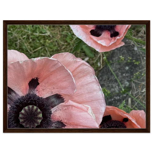 39807b06-61f1-4a4e-a2b1-8ce850eae9fd