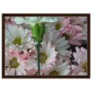 3c43aa02-f45b-4b76-a0c4-2a73a816a2c0
