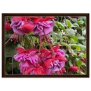 3f27eb07-e8d5-4984-9f23-86d279380ac3