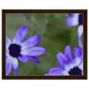 44f631ff-ed79-4e83-9d30-f05bf93108b8