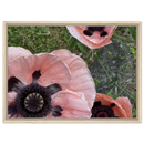 49d4f4bc-b45a-4ad6-ab03-f3d0132cc886