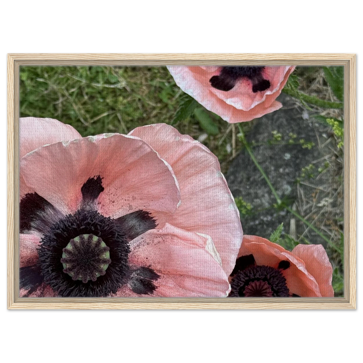 49d4f4bc-b45a-4ad6-ab03-f3d0132cc886