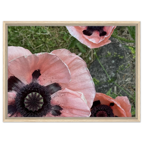49d4f4bc-b45a-4ad6-ab03-f3d0132cc886