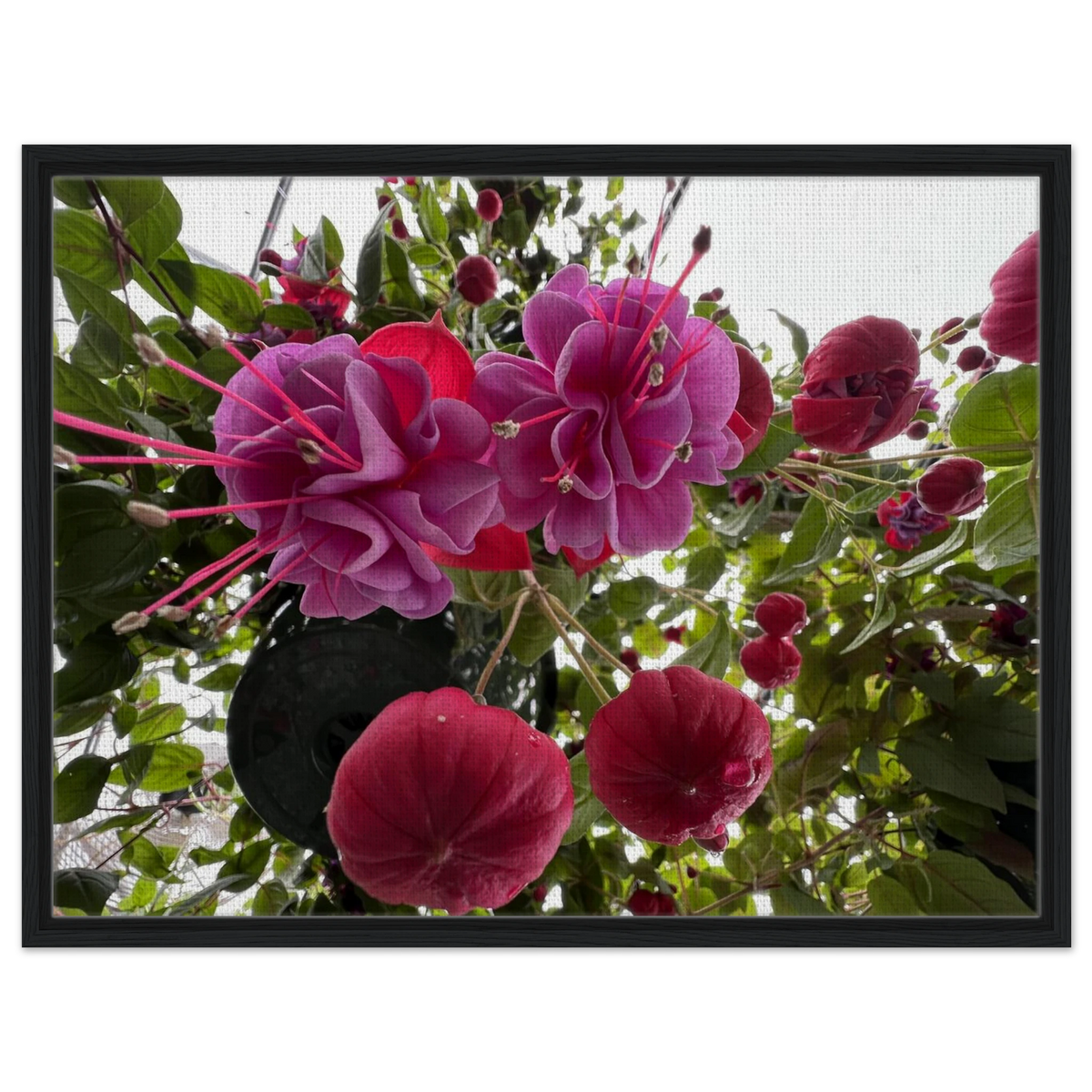 4b8ad127-9884-4387-8163-2ee38b1f016a