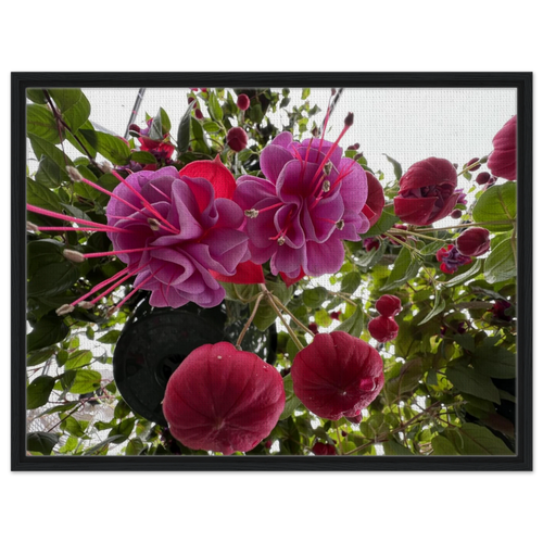 4b8ad127-9884-4387-8163-2ee38b1f016a