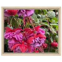 Vibrant Fuchsia Bloom Framed Canvas Print – Lush Pink & Purple Floral Art for Your Space