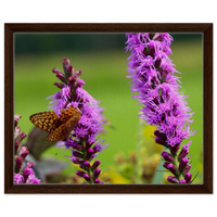 Dark wood frame
